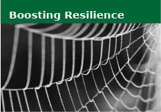 Boosting Resilience