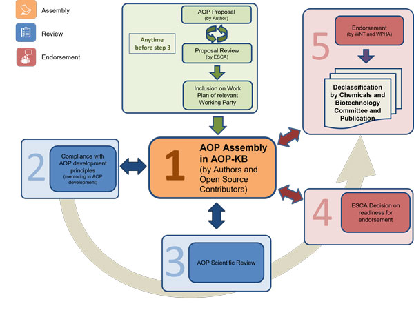 AOP development process
