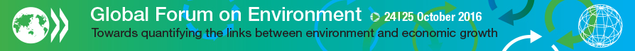 Banner Global Forum Environment and Economic Growth