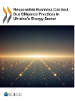 Responsable Business Conduct due dilligente practices in Ukraine's Energy sector